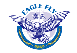 鹰飞国际 - 美国移民+海外公司一站式服务